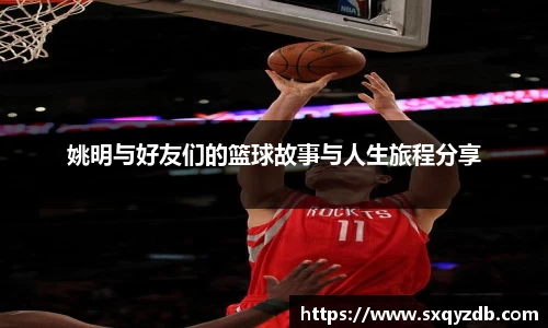 bsports必一体育