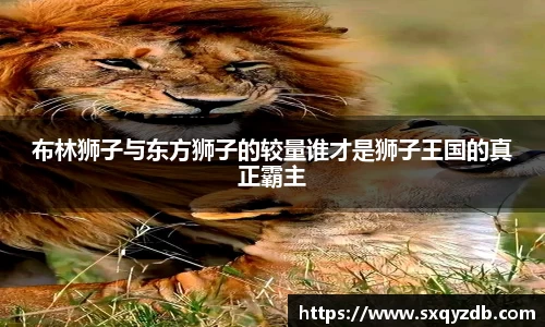 必一bsports体育
