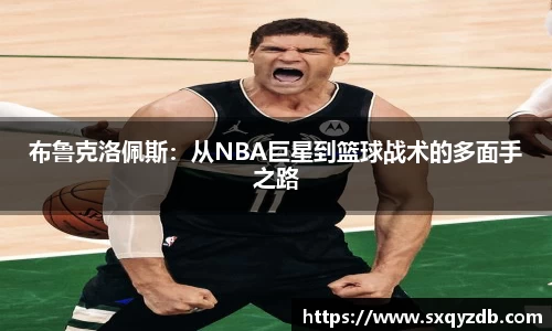 必一bsports体育